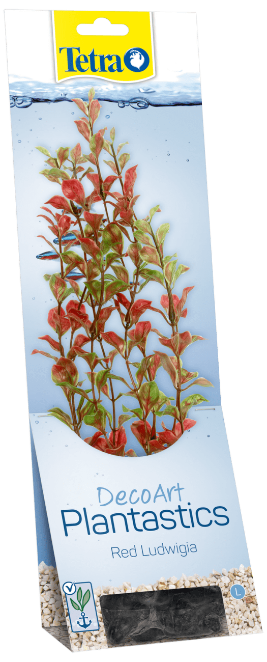 Rastlina Tetra Red Ludwigia L 30cm