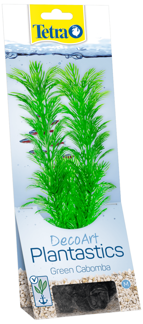Rastlina Tetra Green Cabomba M 23cm