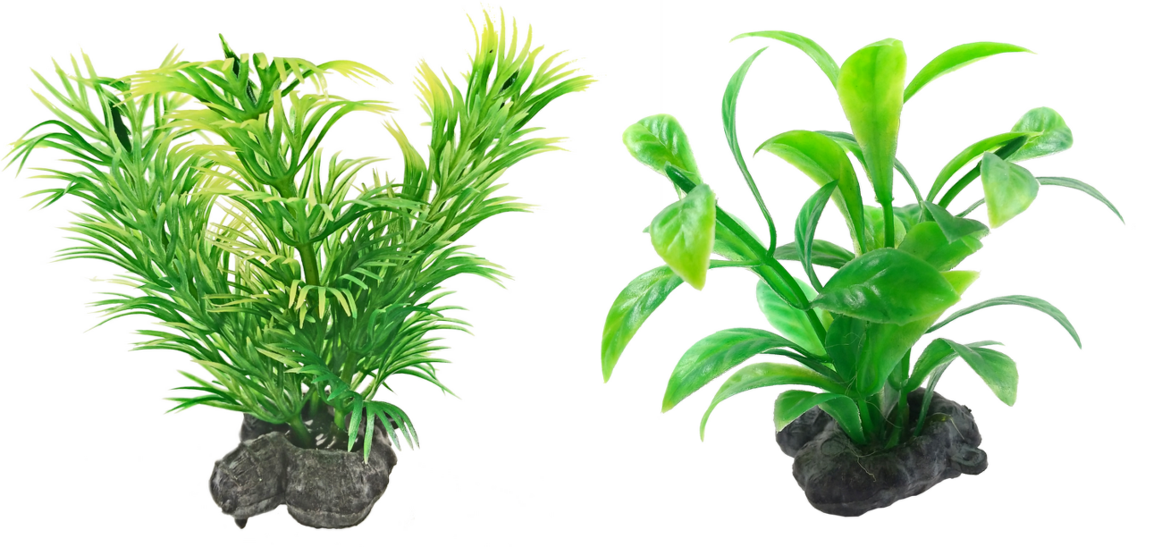 Tetra rastlina Mix zelená XS