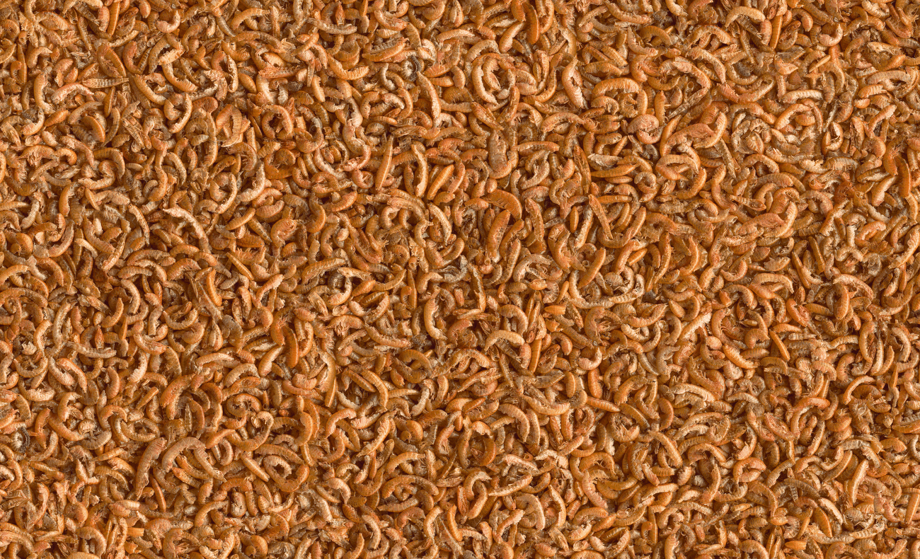 TetraFauna Reptomin Gamarus 1L