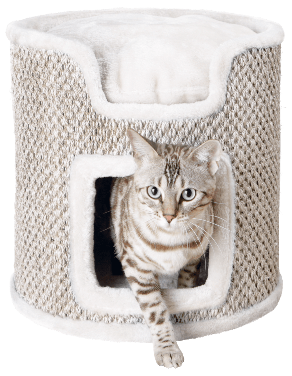 Trixie Ria Cat Tower, light grey, 37cm