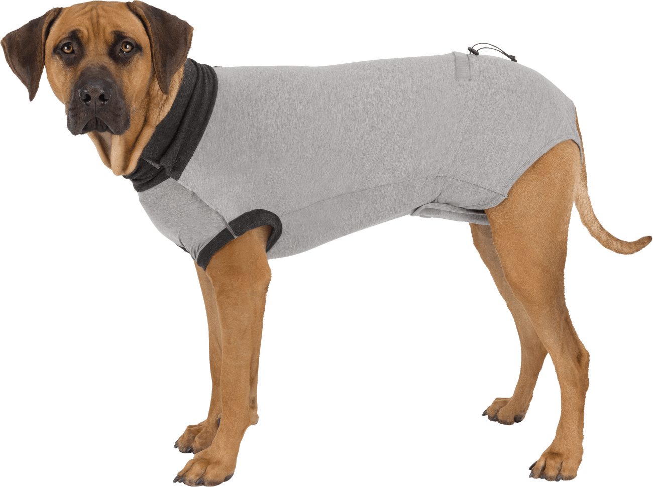 Ochranný obleček Trixie po operaci M–L 50cm šedý