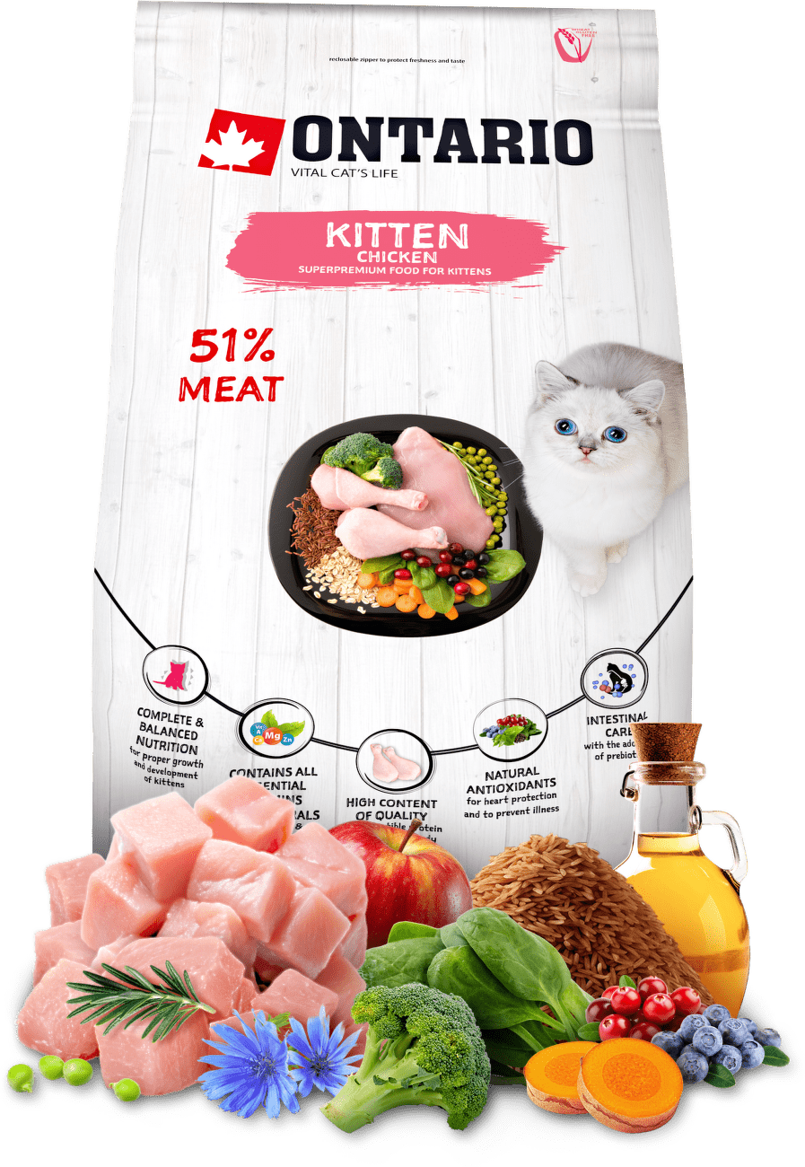 Ontario Kitten kura 2 kg