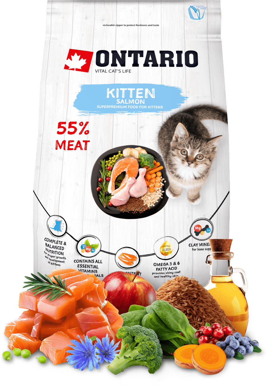 Ontario Kitten losos 0,4kg