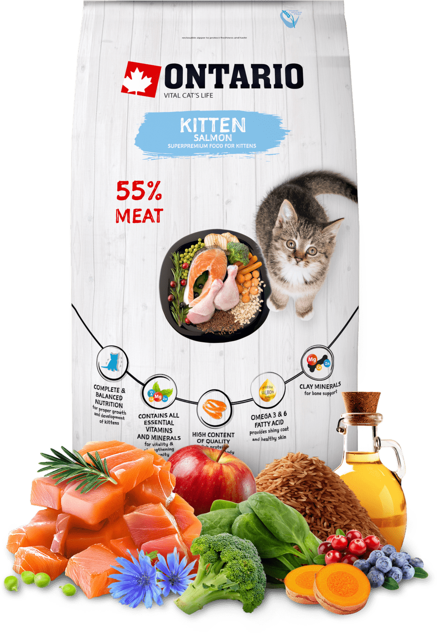 Ontario Kitten losos 6,5kg
