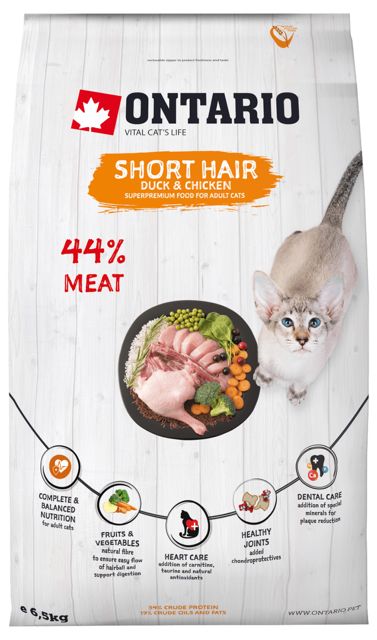 Ontario Cat Shorthair 6,5kg