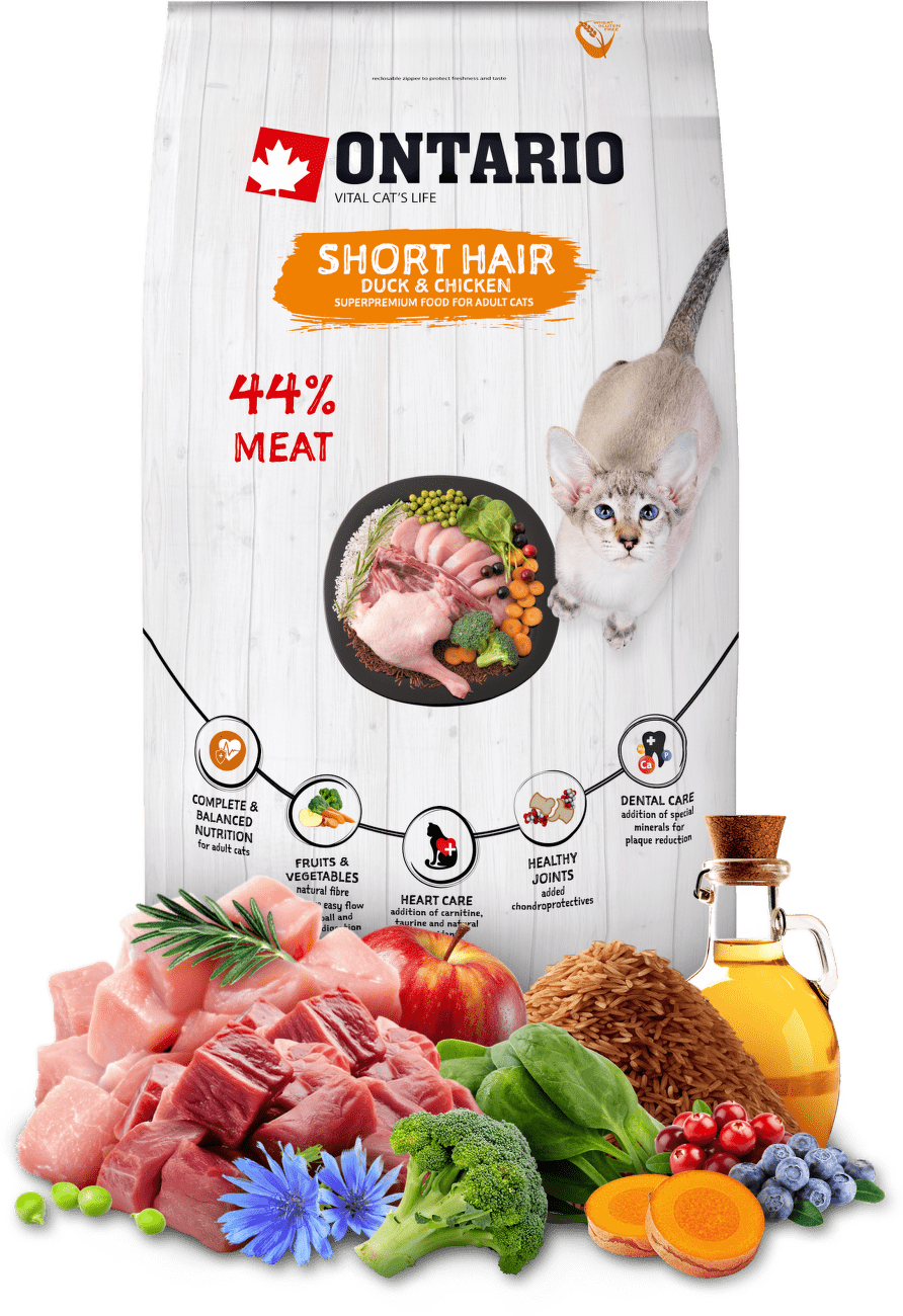Ontario Cat Shorthair 6,5kg