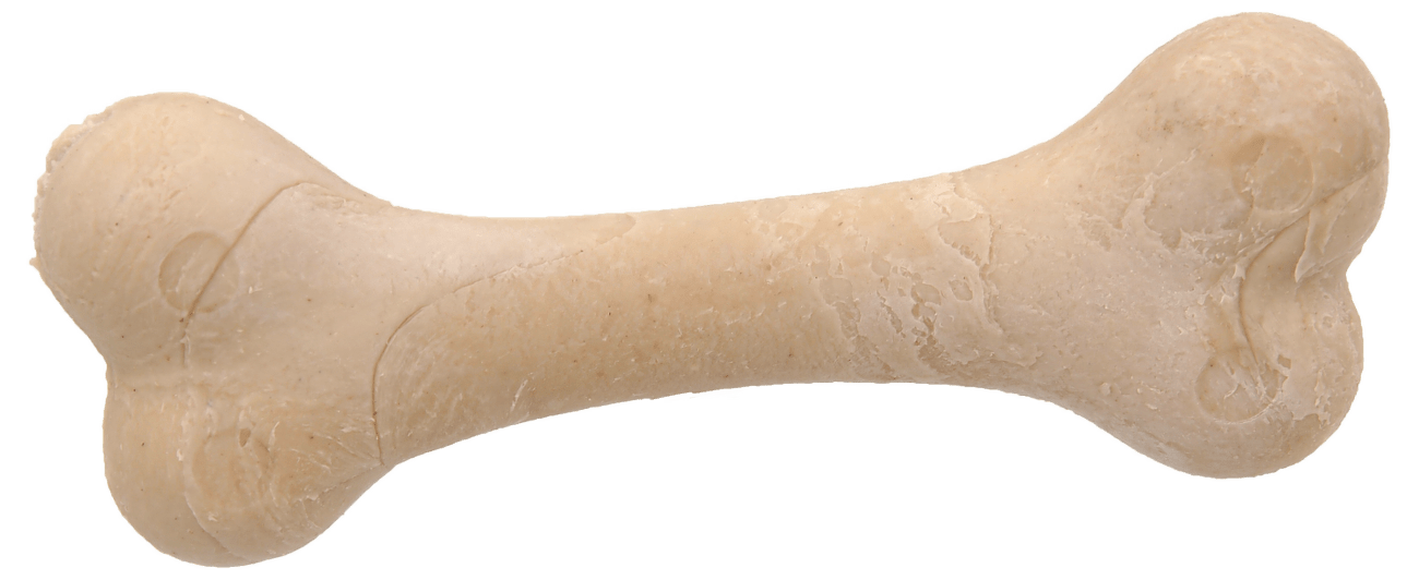 Dentosaurus  Kost kalciová 8,5cm 1 ks