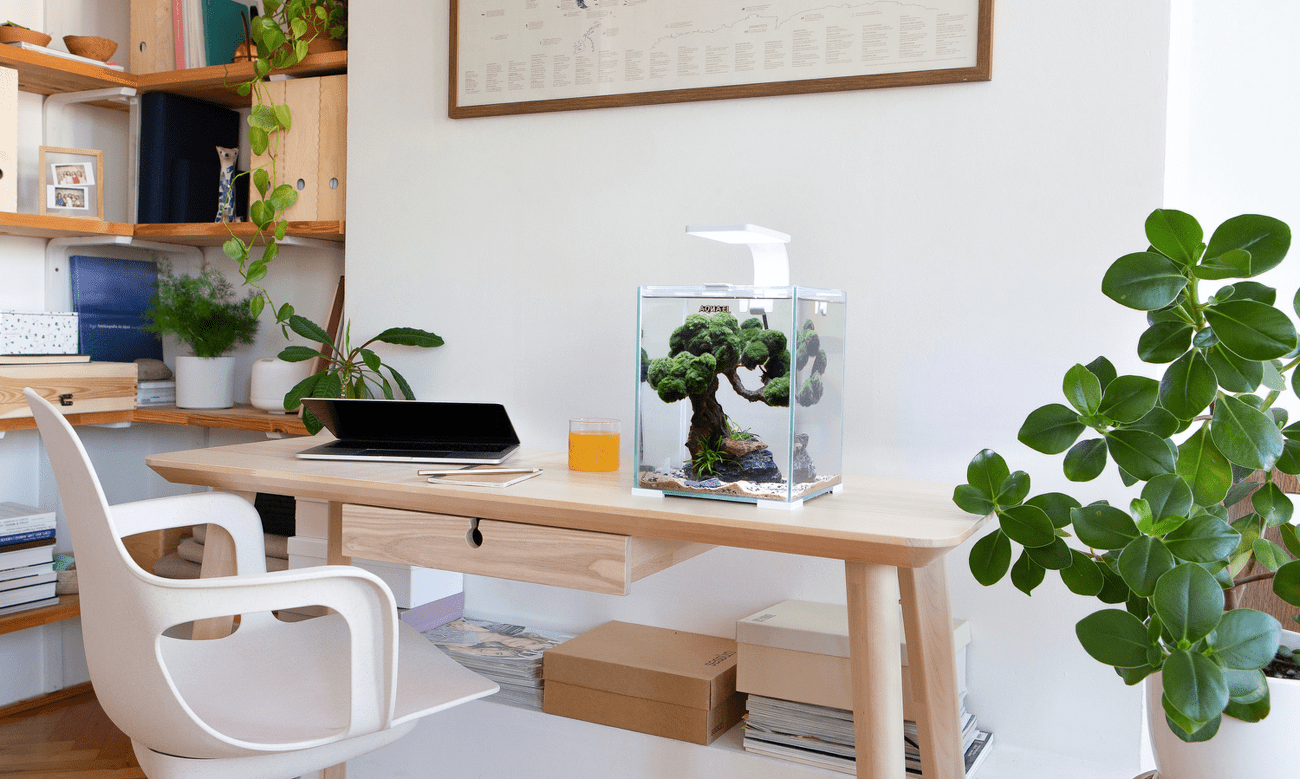 AQUAEL Akvarium set Shr. Smart DN 20x20x25cm, 10l čierne