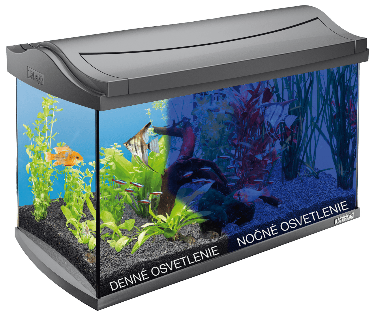 Tetra akvárium set AquaArt LED 57 x 30 x 35 cm 60 l