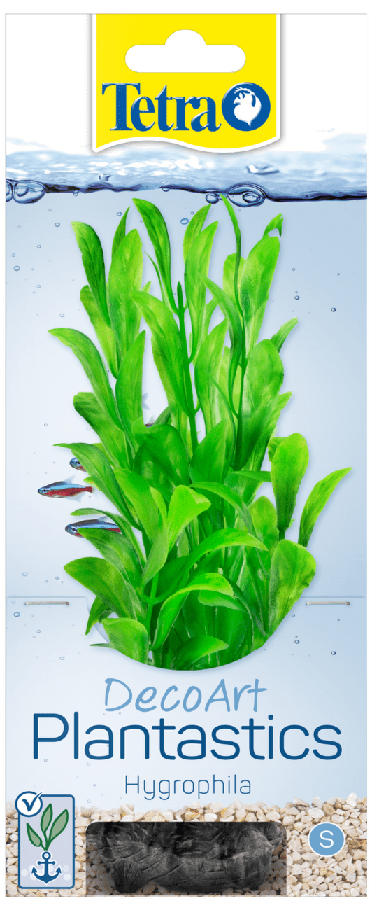 Tetra rastlina Hygrophila S 15 cm