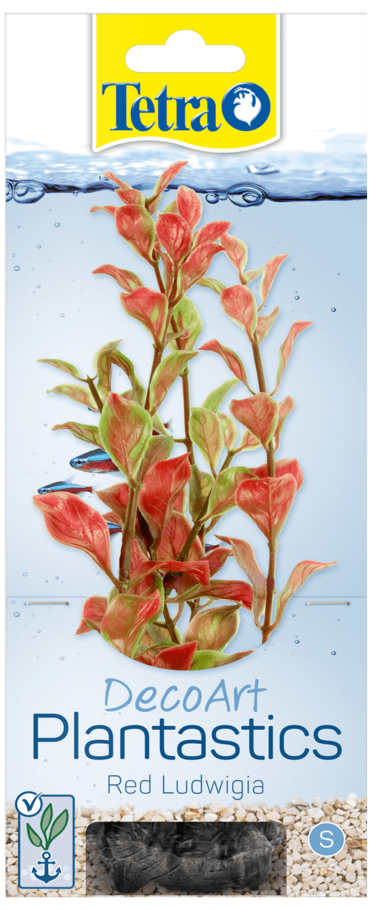 Tetra rastlina Red Ludwigia S 15 cm
