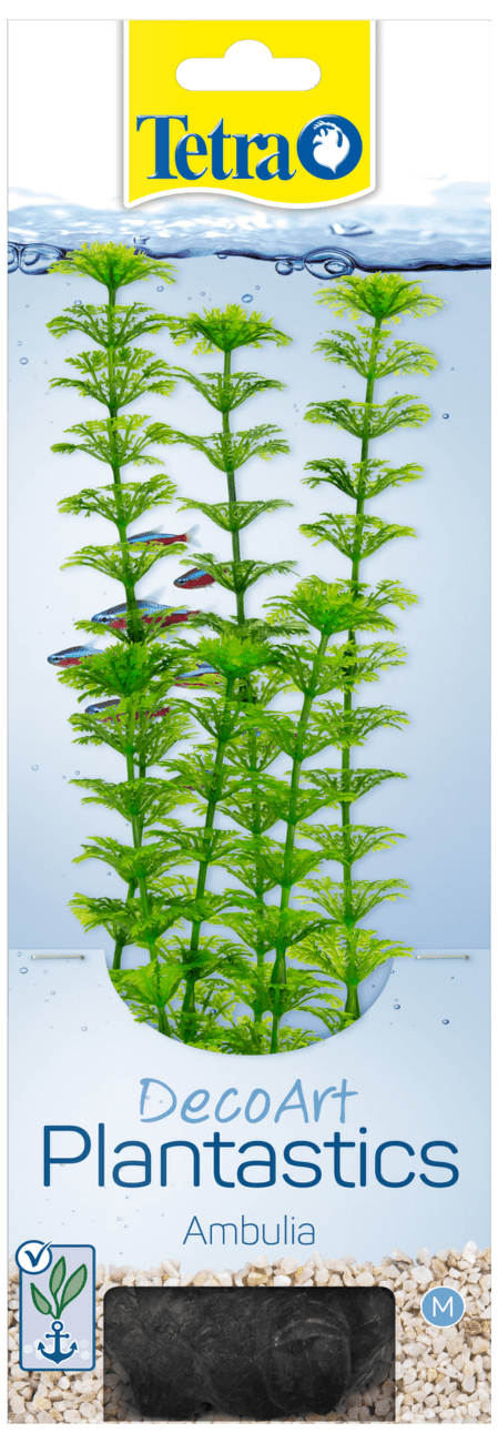 Rastlina Tetra Ambulia M 23cm