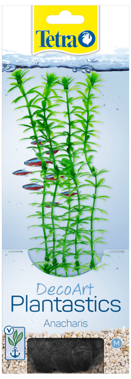 Rastlina Tetra Anacharis M 23cm