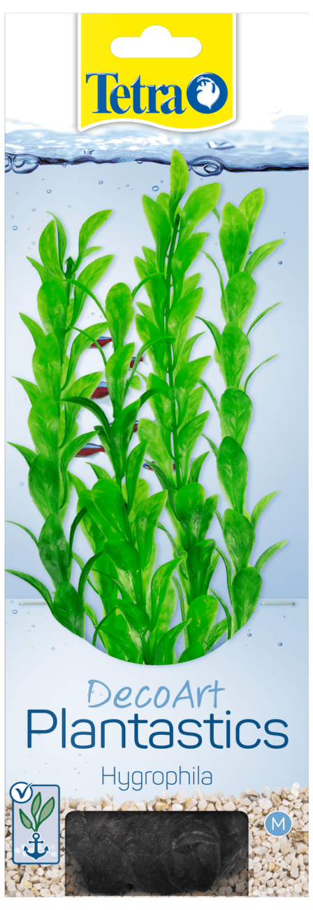 Rastlina Tetra Hygrophila M 23cm