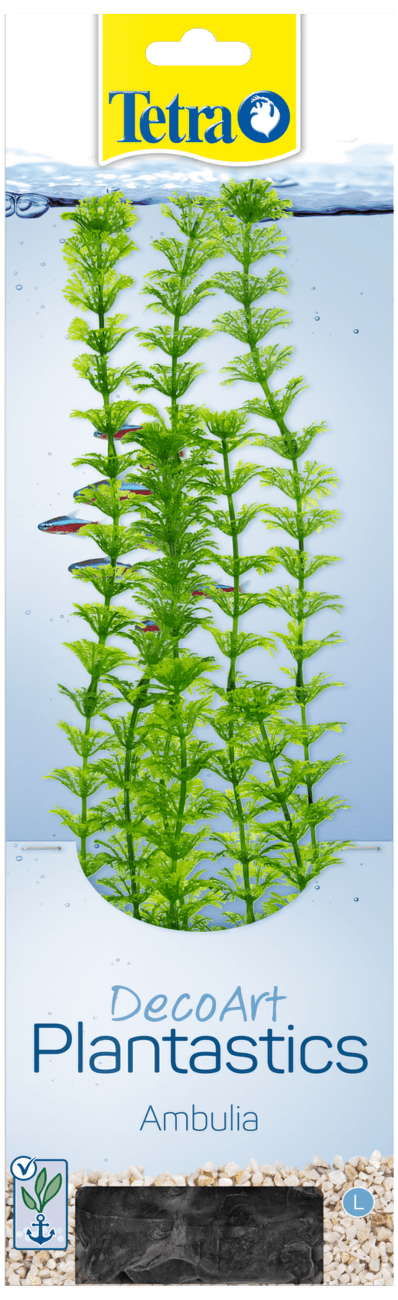 Rastlina Tetra Ambulia L 30cm