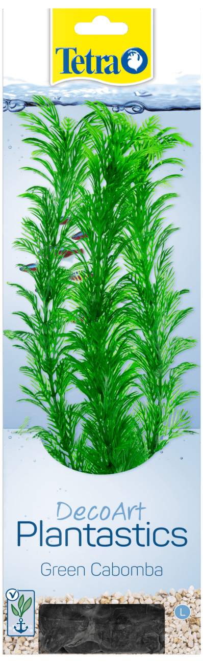 Rastlina Tetra Green Cabomba L 30cm