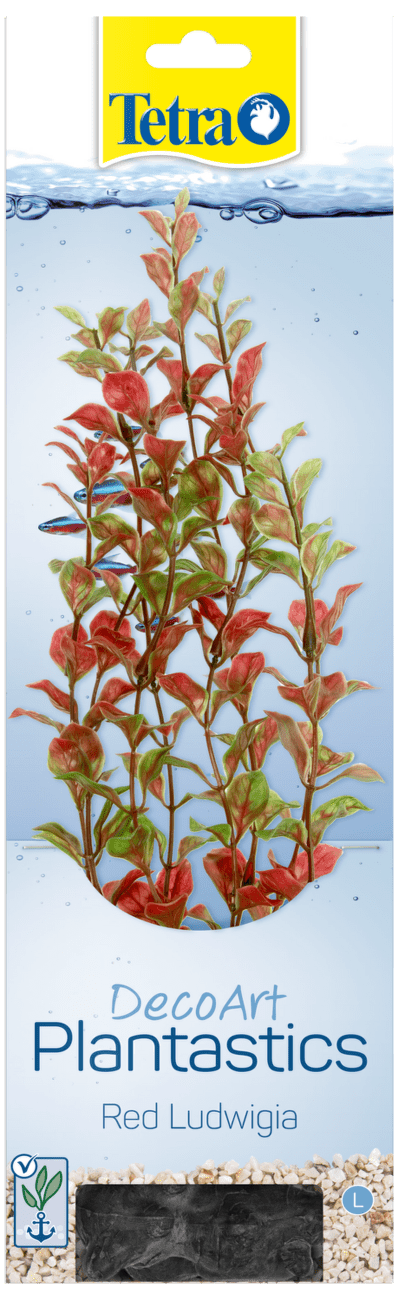 Rastlina Tetra Red Ludwigia L 30cm
