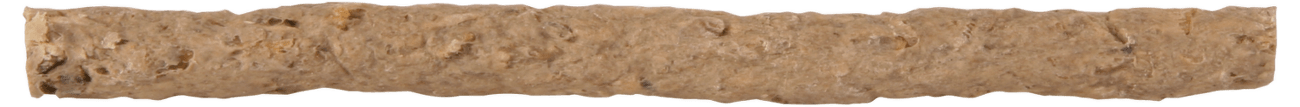 Tycinka zuvacia, mix 12cm,9-10mm