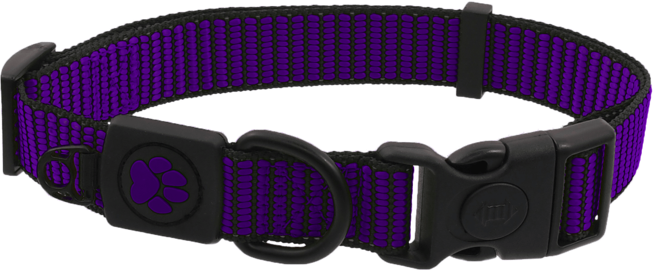 Obojok AD Strong S fialovy 1,5x27-37cm