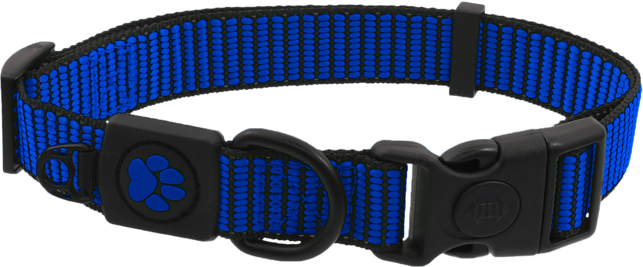Obojok AD Strong M modry 2x34-49cm