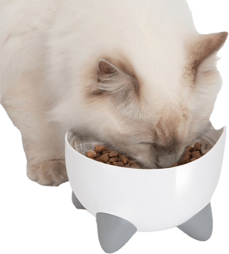 Cat It Pixi Combo Kit fontána s miskou biela