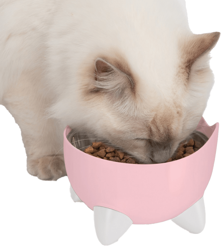Cat It Pixi Combo Kit fontána s miskou ružová