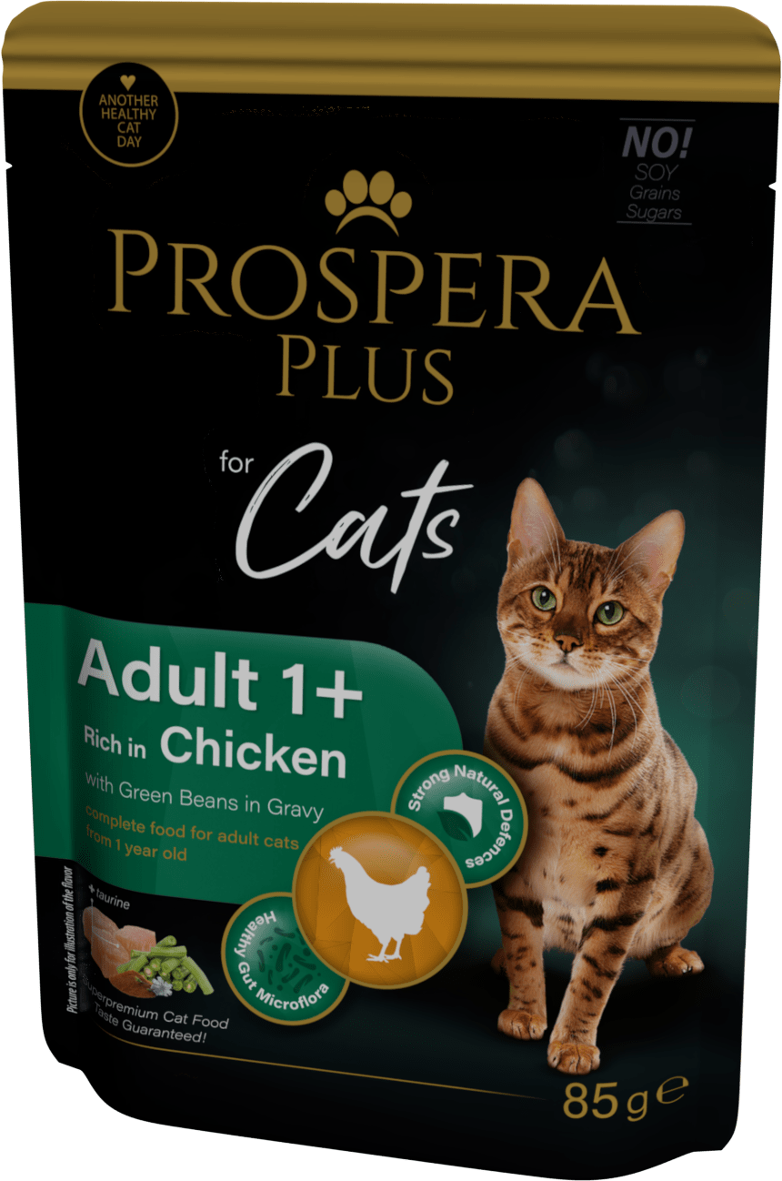 Prospera cat kapsička Adult kura s fazuľkami 85 g
