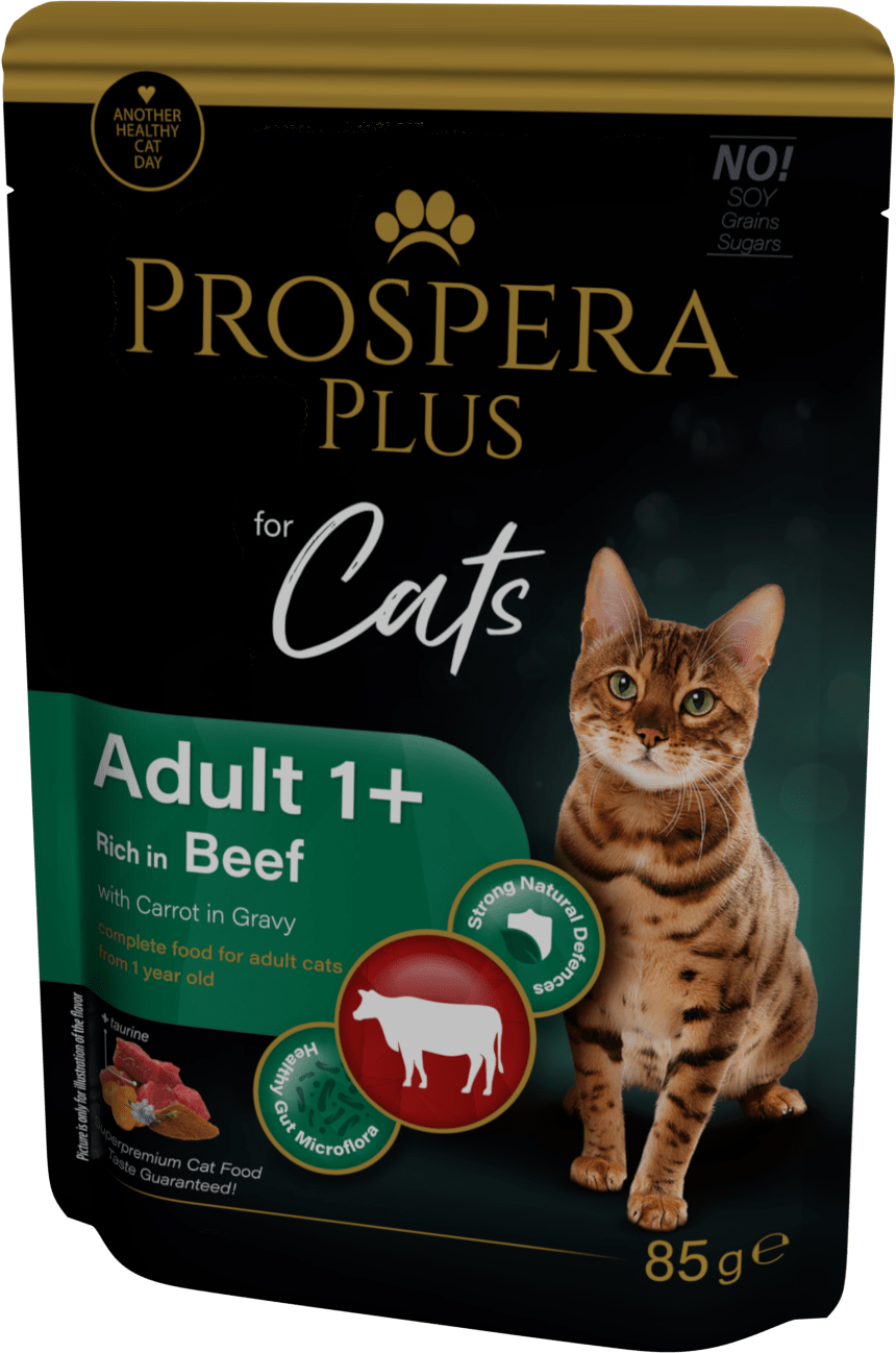 Prospera cat kapsička Adult hovädzie s mrkvou 85 g