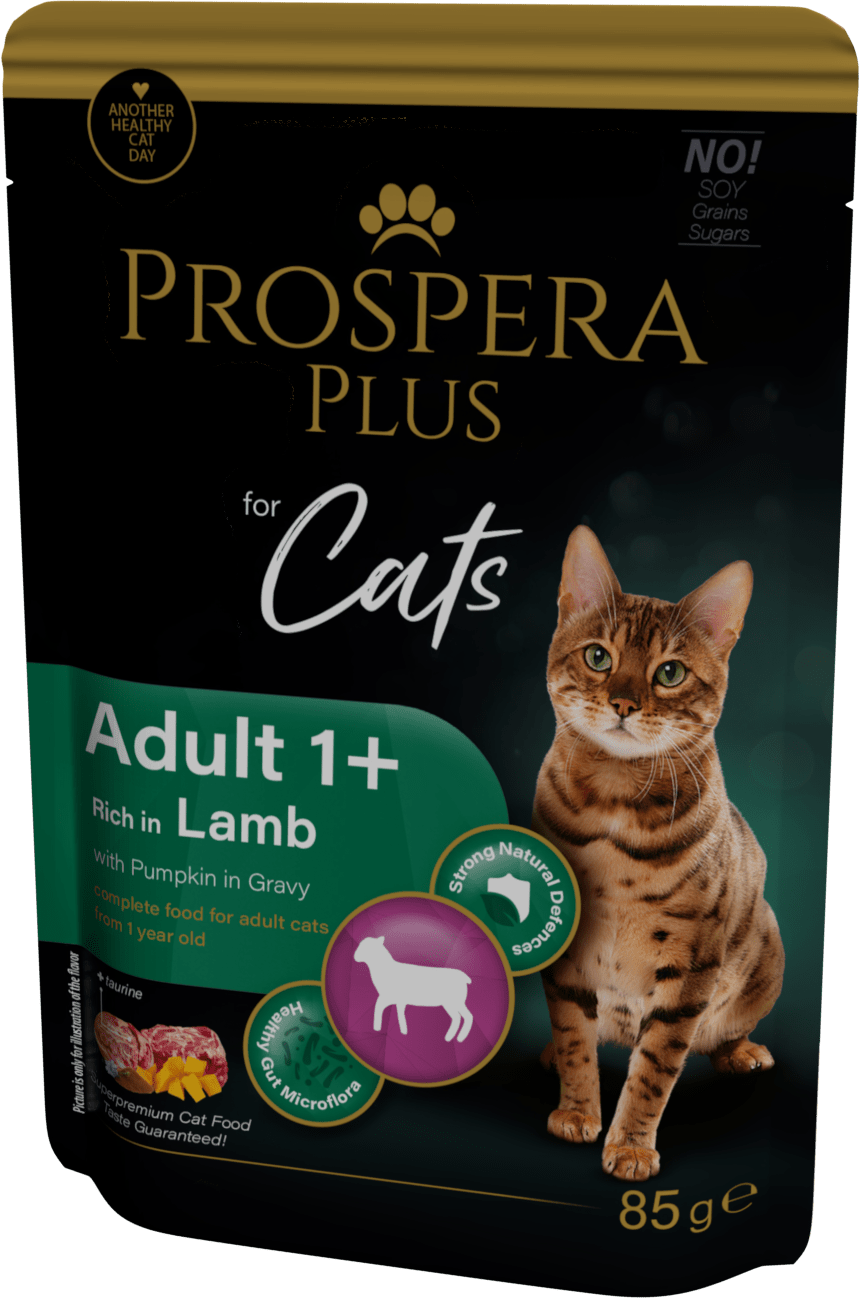 Prospera cat kapsička Adult jahňa s tekvicou 85 g