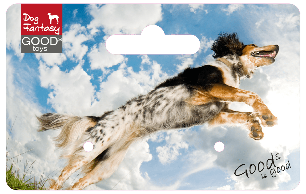 Dog Fantasy Ball hračka pískacia lopta s rúčkou 15 cm
