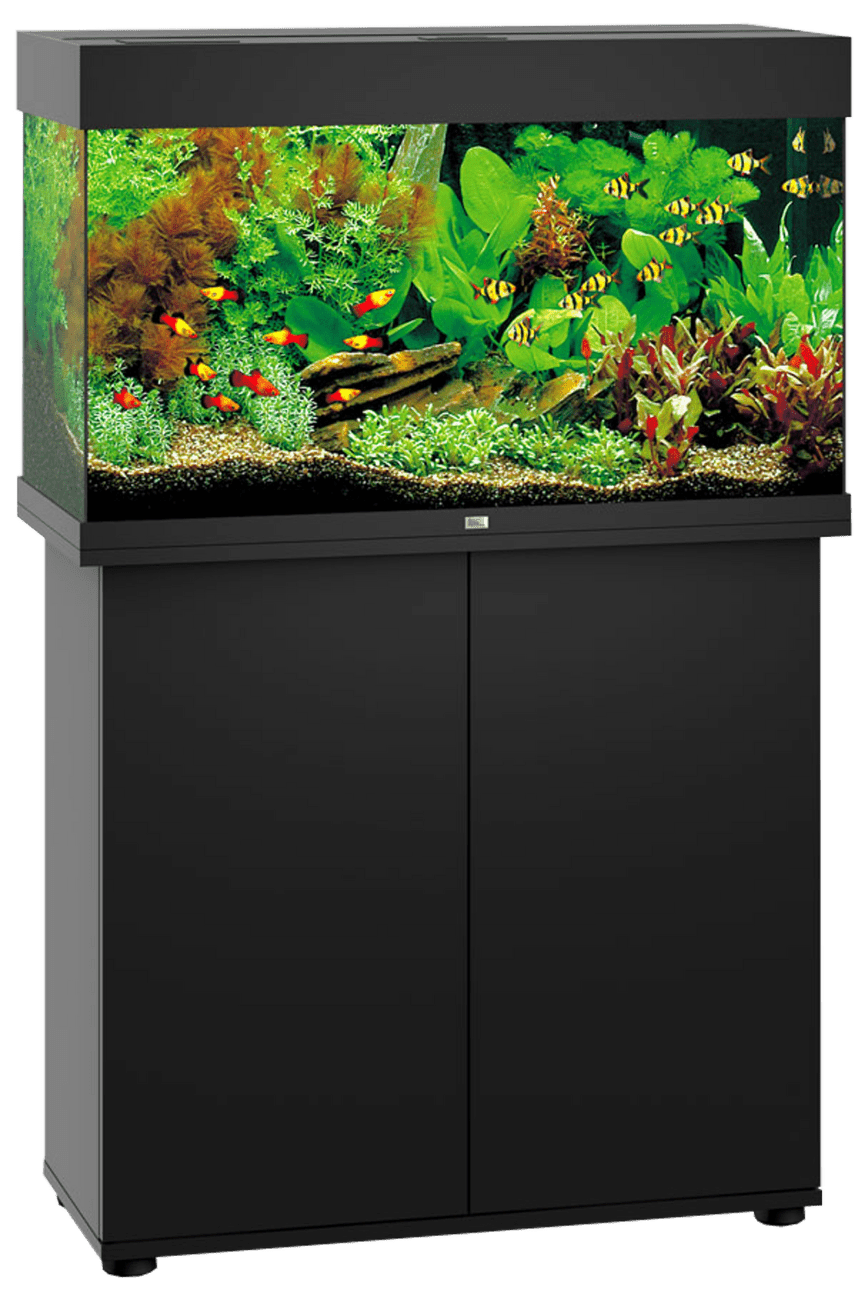 Juwel akvárium set Rio LED čierne 125 81 x 36 x 50 cm 125 l