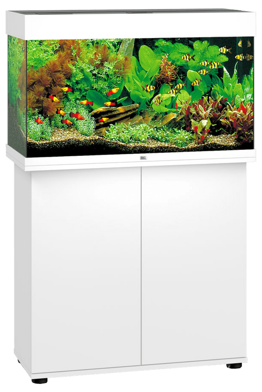 Juwel akvárium Rio LED 125 biele 81 x 36 x 50 cm 125 l