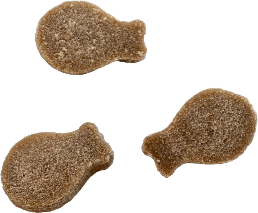 Maškrty Cobbys Pet SOFY Catnip Delicious Ocean Fish 50 g