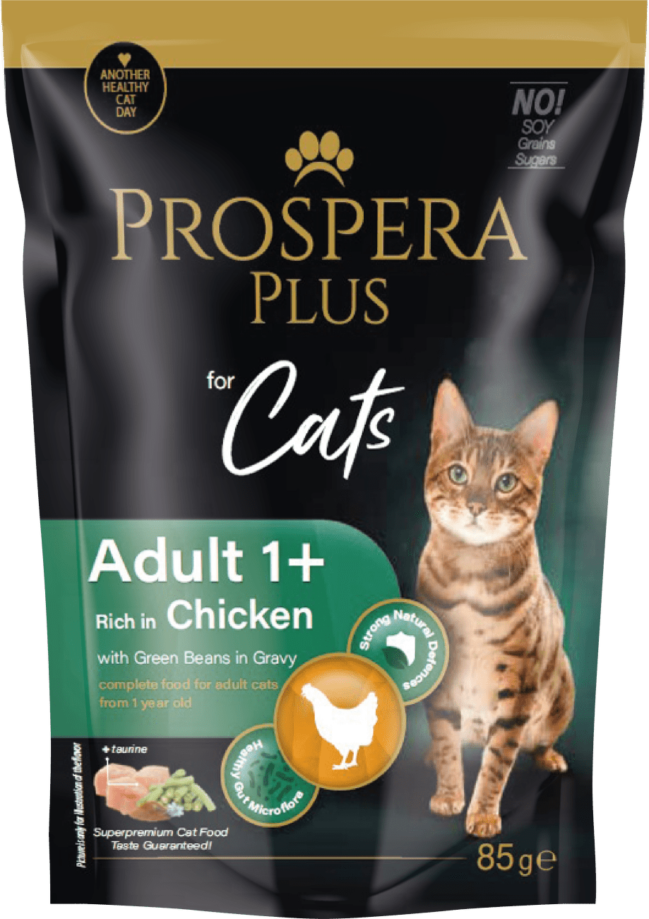 Prospera cat kapsička Adult kura s fazuľkami 85 g