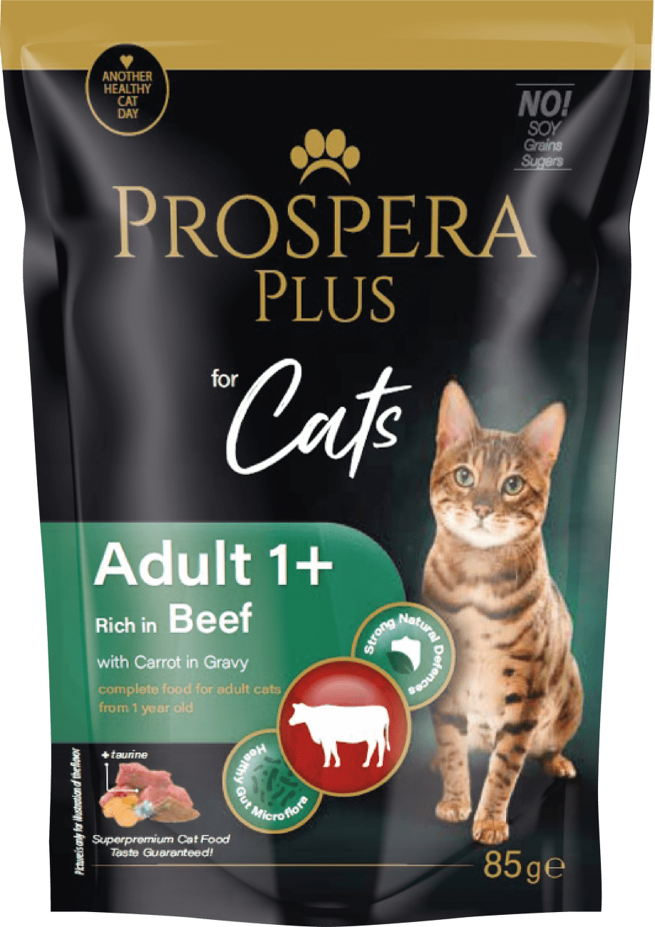 Prospera cat kapsička Adult hovädzie s mrkvou 85 g