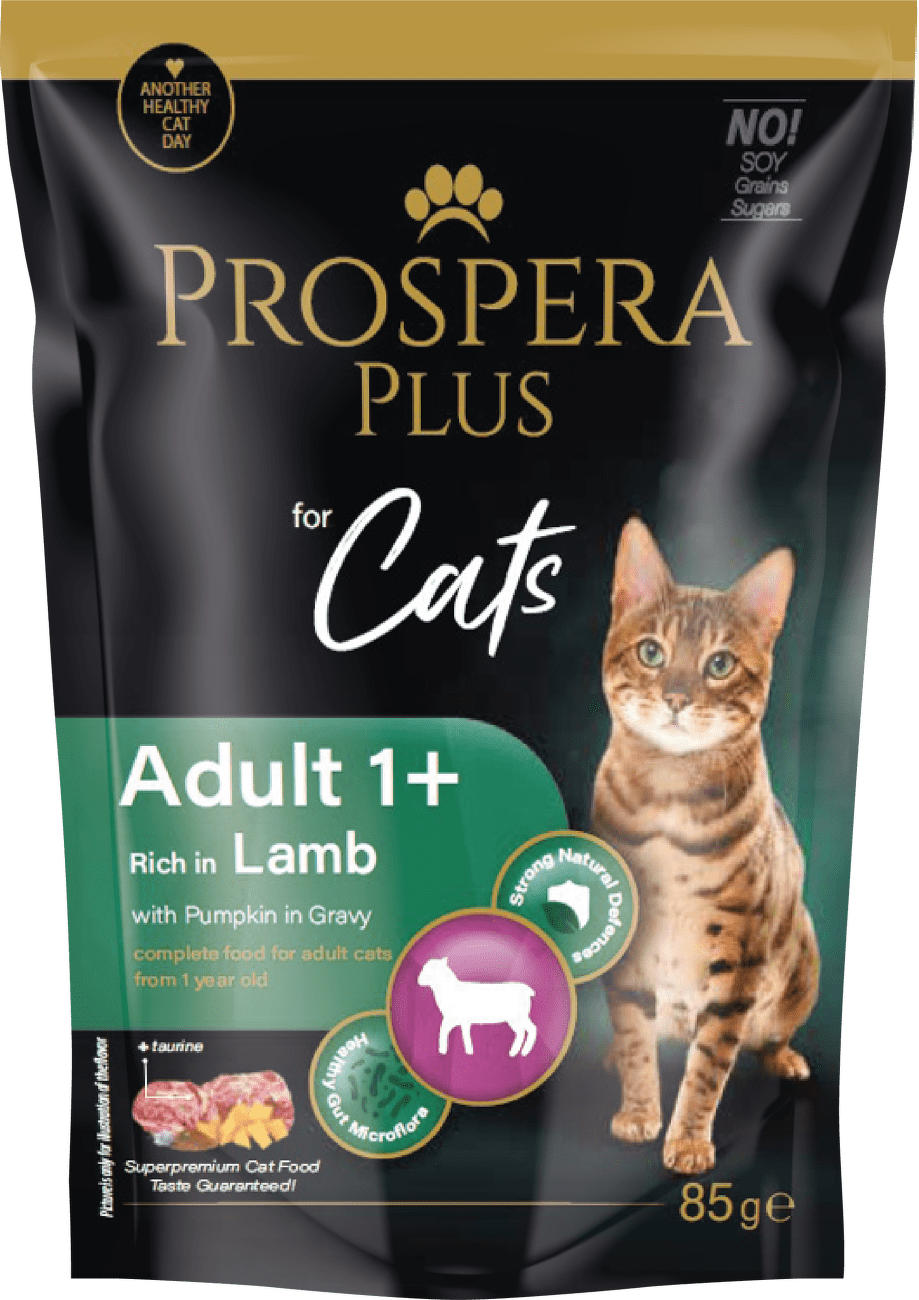 Prospera cat kapsička Adult jahňa s tekvicou 85 g