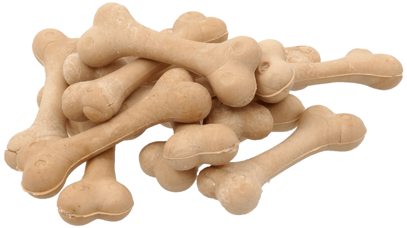 Dentosaurus  Kost kalciová 8,5cm 1 ks