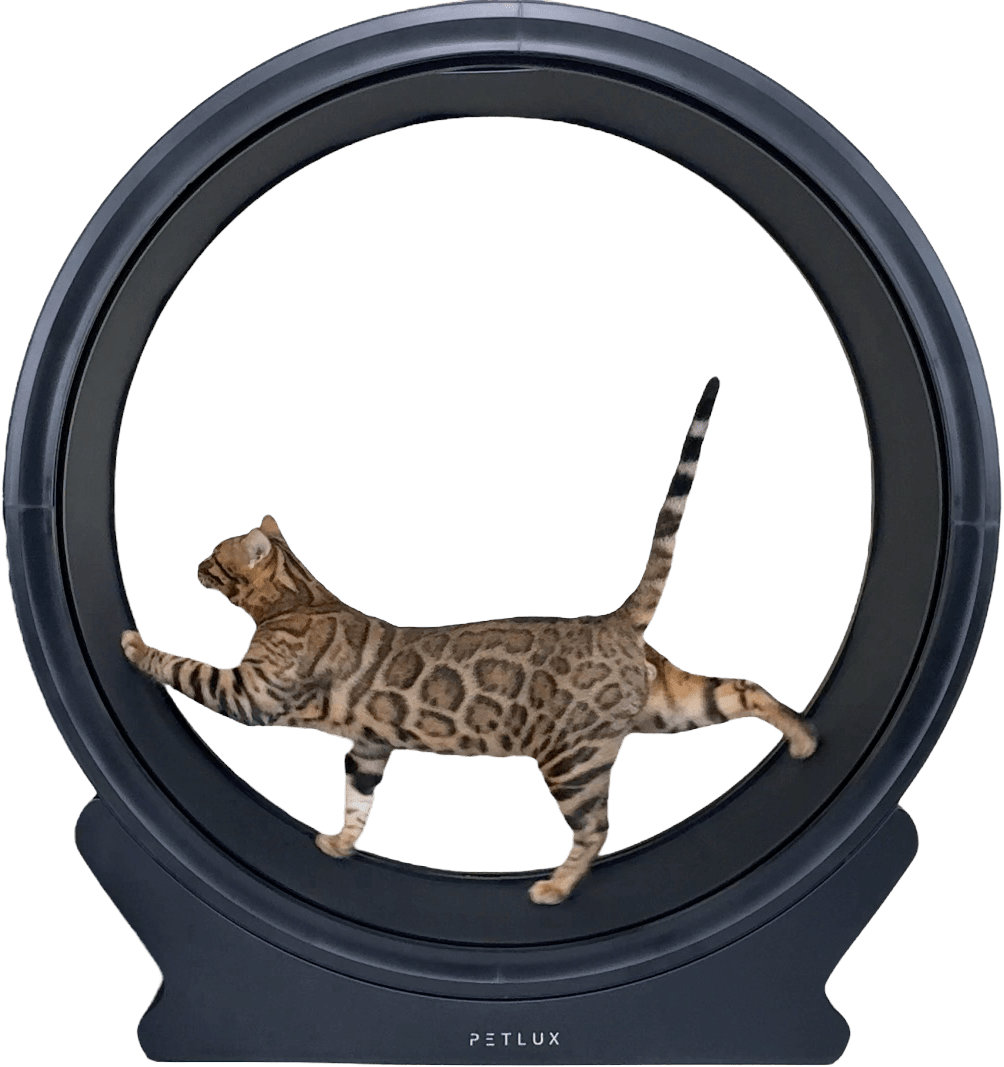 Kolo Petlux tréningové pro kočky V2 černé bez osvětlení