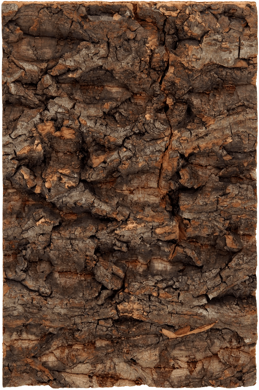Repti Planet Pozadí korek přírodní 19x12,3cm
