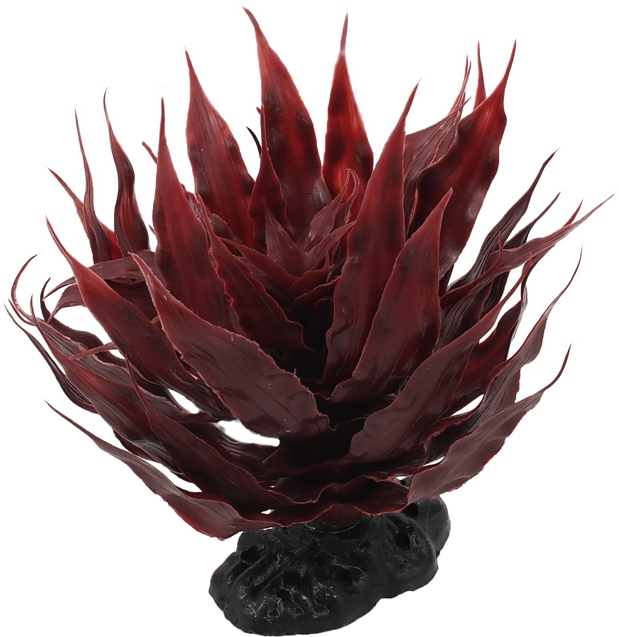 Repti Planet Rastlina sukulent Agave červená 18cm