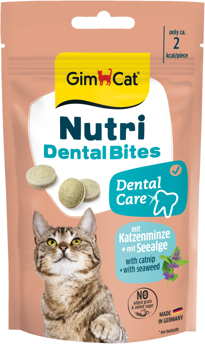 Pamlsky GimCat Nutri Dental Bites 40 g
