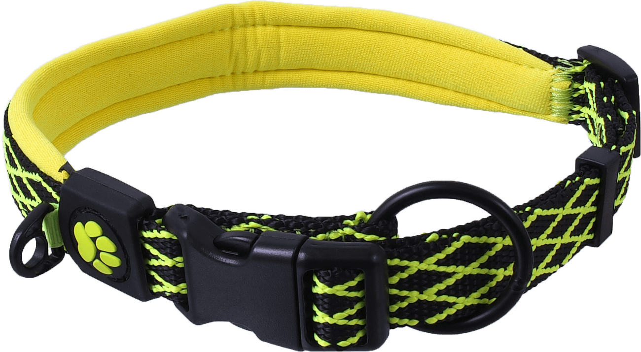 Obojek Active Dog Mystic XL limetka 2,5x63-70cm