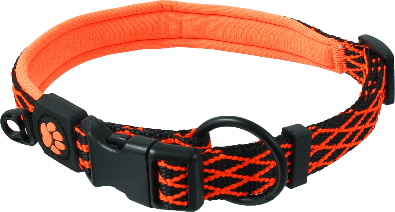 Obojek Active Dog Mystic XL oranžový 2,5x63-70cm