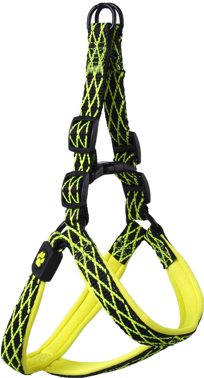 Postroj Active Dog Mystic XS limetka 1,5x28-40cm