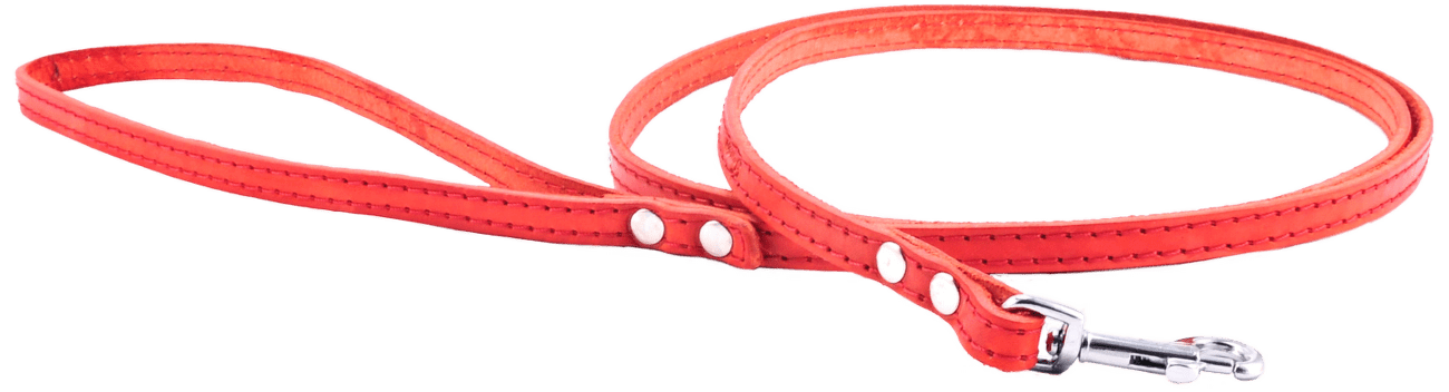 Kožené vodítko Tamer 1cm/145cm červené