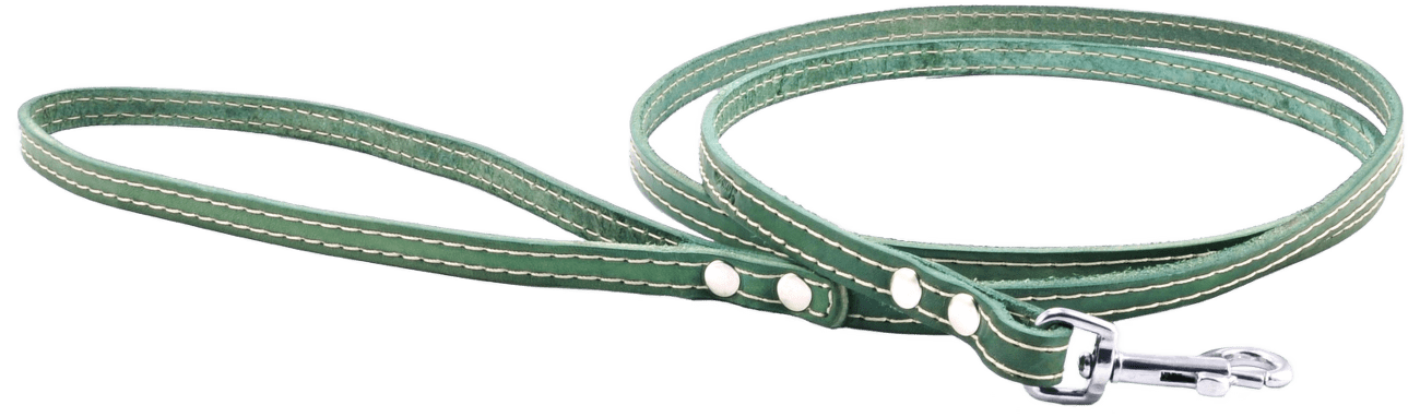 Kožené vodítko Tamer 1cm/115cm zelené