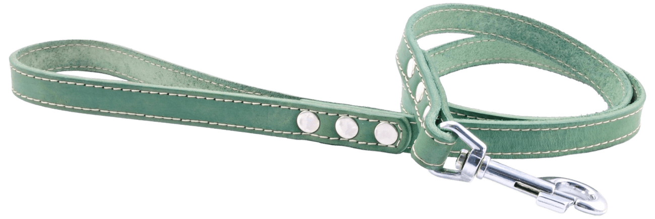 Kožené vodítko Tamer 1,9cm/115cm zelené