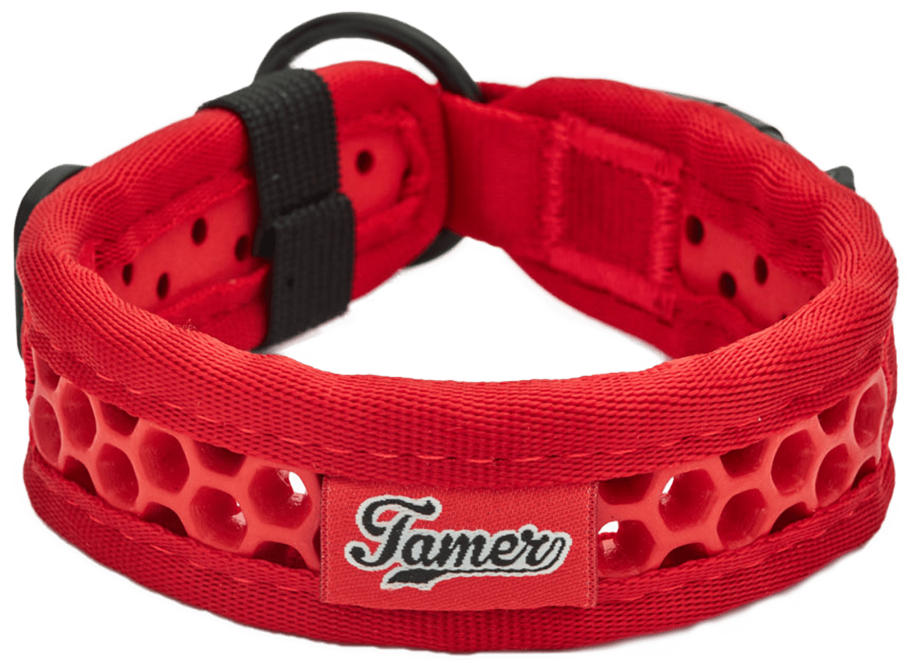Tamer Softy obojok 2,8x31cm červený