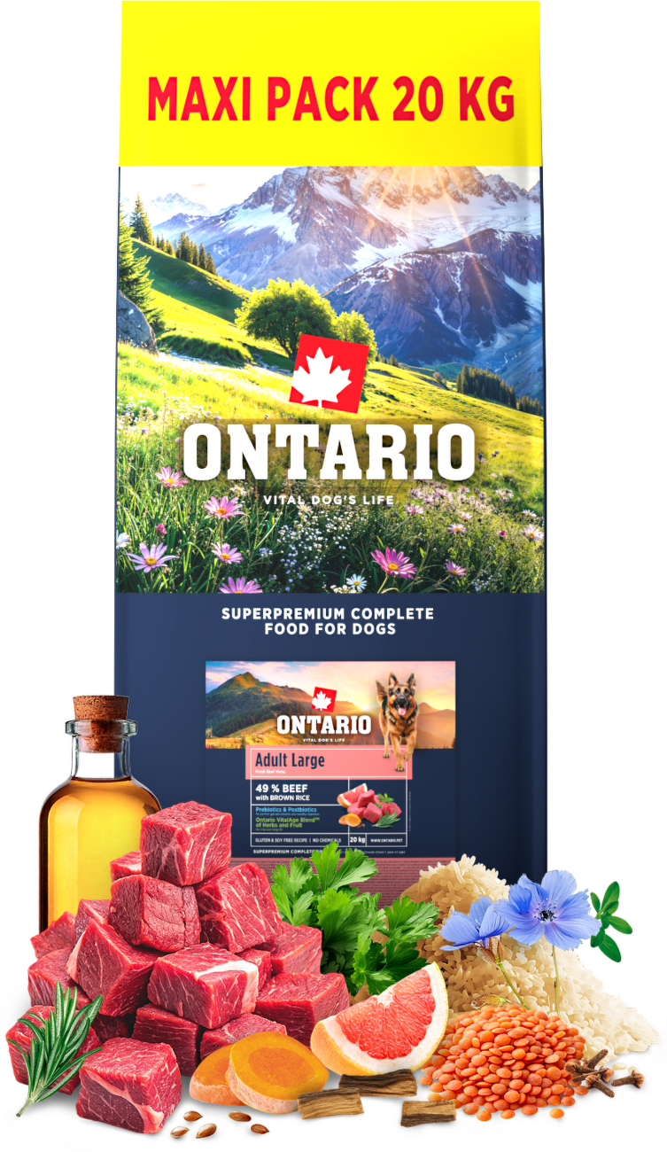 Ontario Adult Large Beef & Brown Rice 20kg